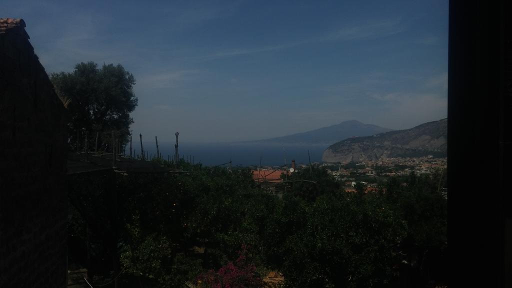 Patrizia Casa Vacanze Sant'Agnello Eksteriør billede