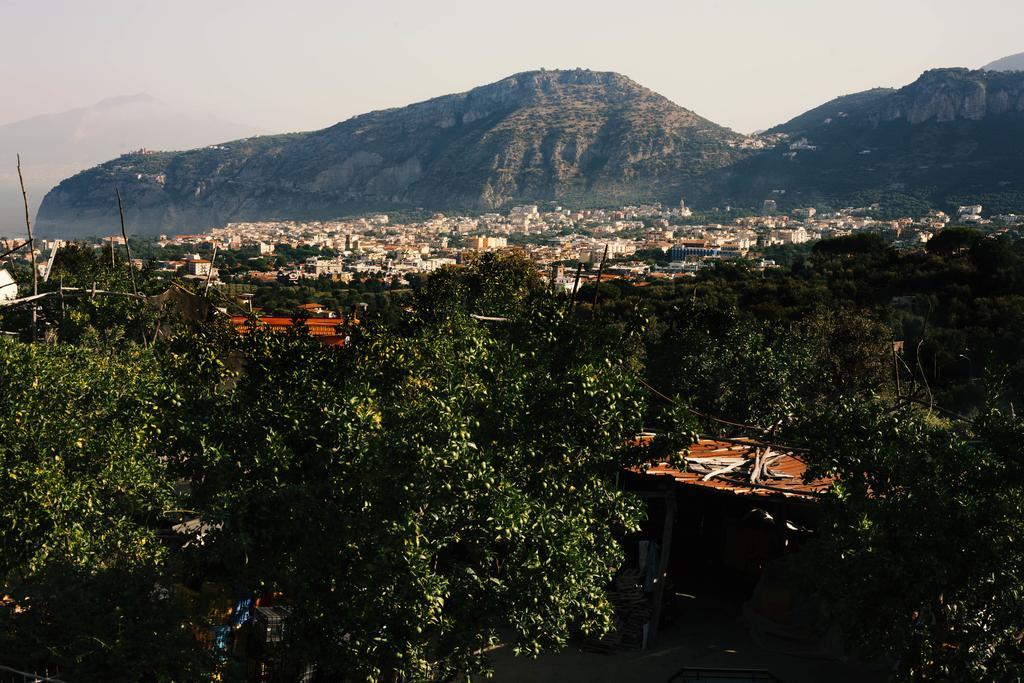Patrizia Casa Vacanze Sant'Agnello Værelse billede